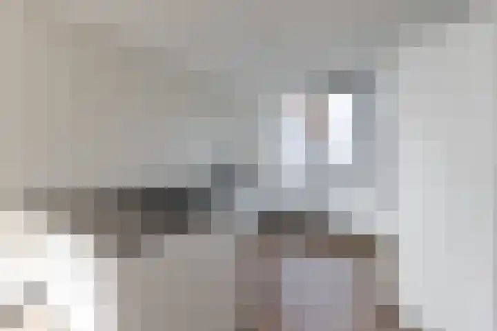Raaigras 92 Assendelft thumbnail 14