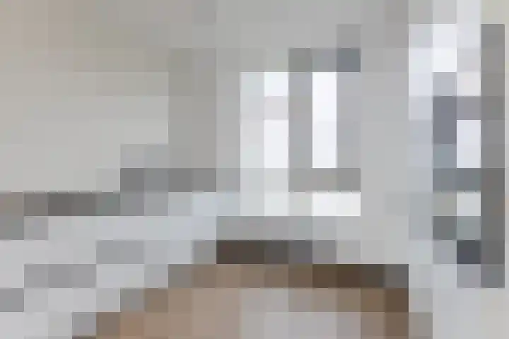 Raaigras 92 Assendelft thumbnail 15