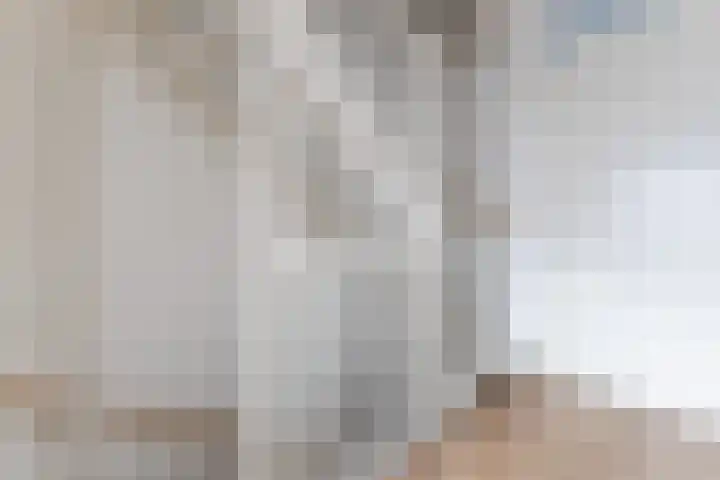 Raaigras 92 Assendelft thumbnail 17