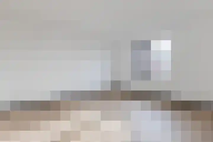 Raaigras 92 Assendelft thumbnail 19