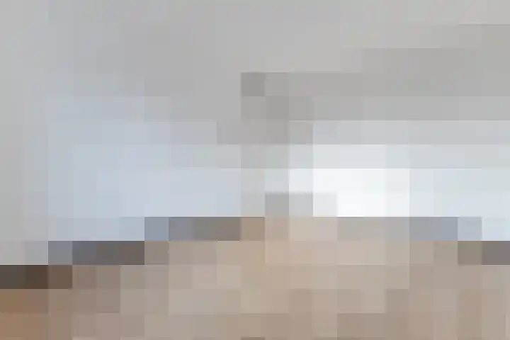 Raaigras 92 Assendelft thumbnail 20