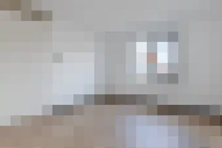Raaigras 92 Assendelft thumbnail 22
