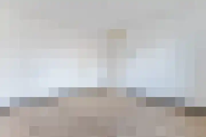 Raaigras 92 Assendelft thumbnail 23