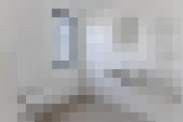 Raaigras 92 Assendelft thumbnail 27