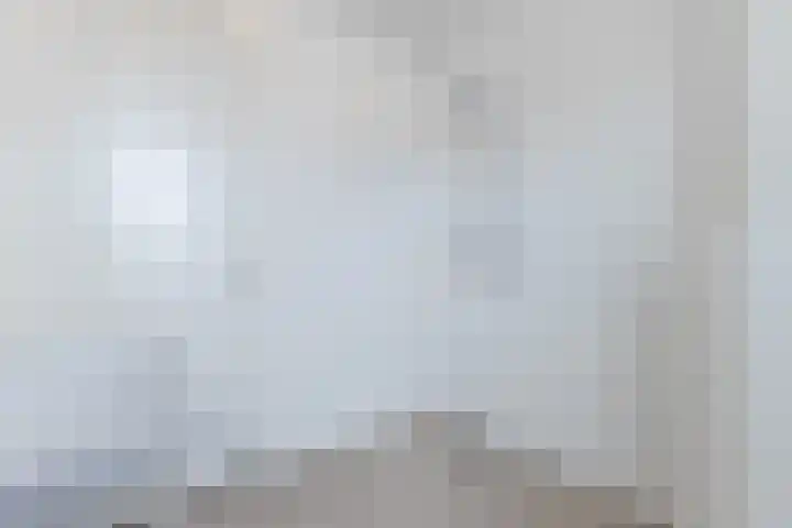 Raaigras 92 Assendelft thumbnail 28