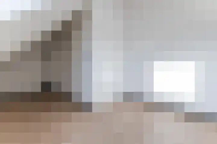 Raaigras 92 Assendelft thumbnail 34