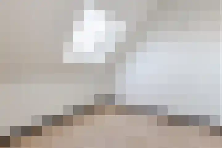 Raaigras 92 Assendelft thumbnail 35