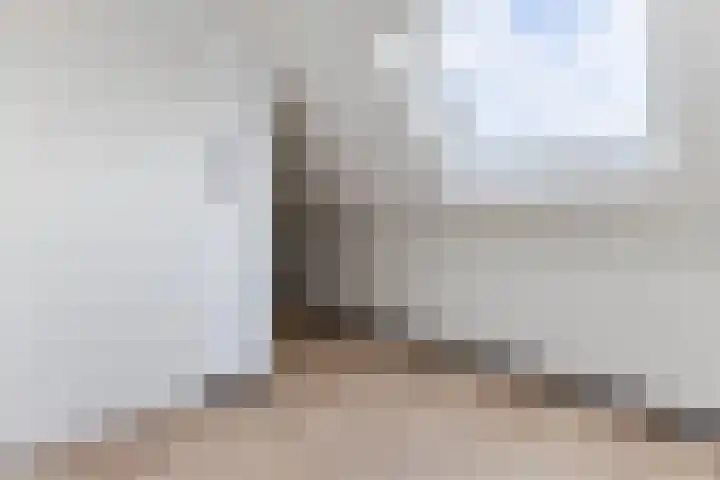 Raaigras 92 Assendelft thumbnail 36