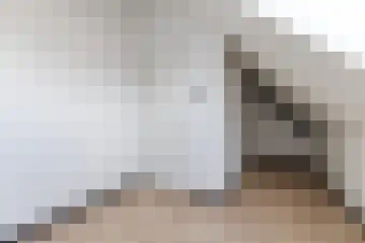 Raaigras 92 Assendelft thumbnail 37
