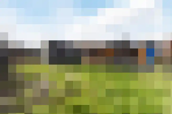 Raaigras 92 Assendelft thumbnail 39