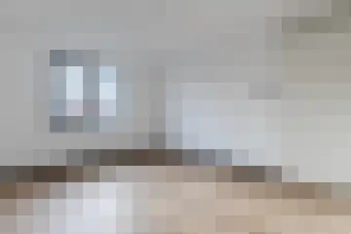 Raaigras 92 Assendelft thumbnail 4