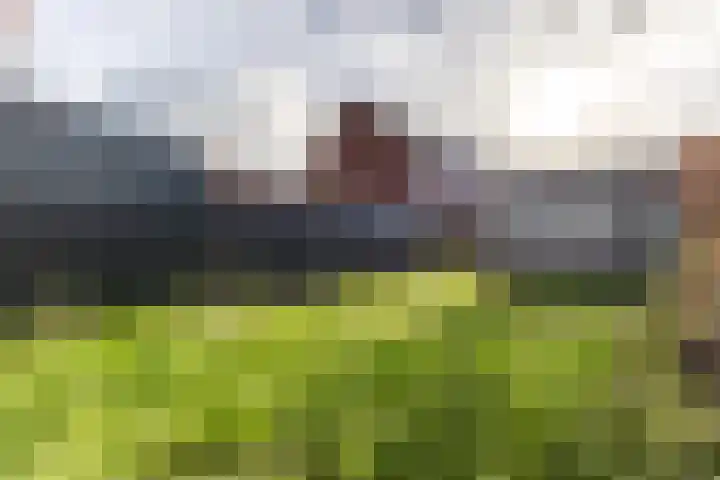 Raaigras 92 Assendelft thumbnail 40