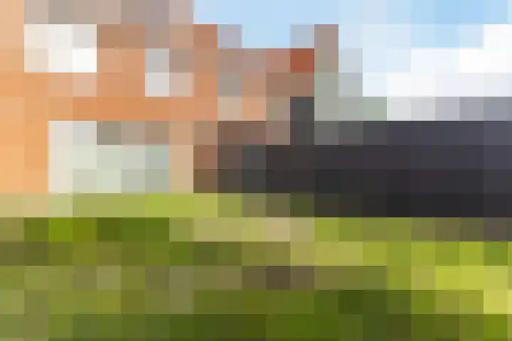 Raaigras 92 Assendelft thumbnail 41