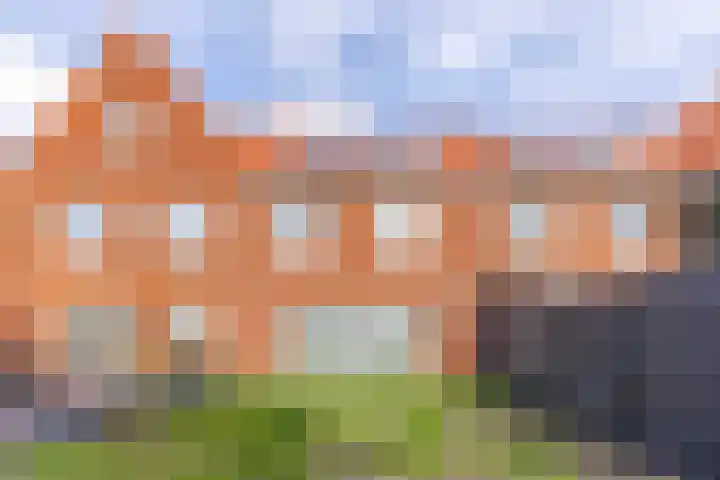 Raaigras 92 Assendelft thumbnail 42