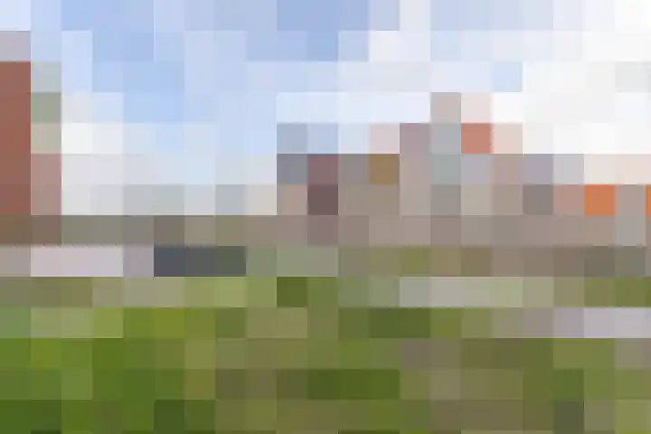 Raaigras 92 Assendelft thumbnail 45