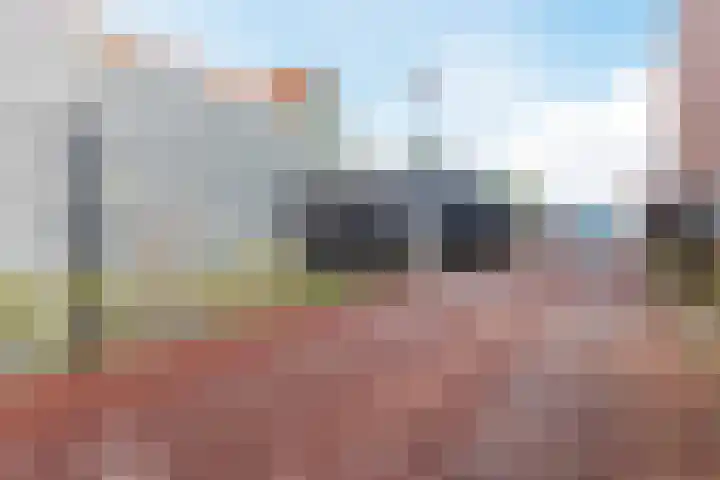 Raaigras 92 Assendelft thumbnail 46