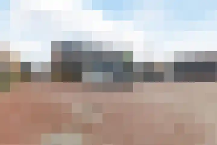Raaigras 92 Assendelft thumbnail 47