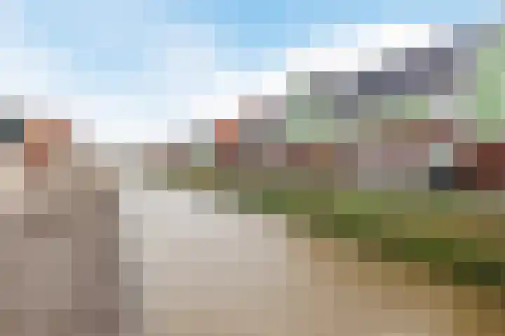Raaigras 92 Assendelft thumbnail 48
