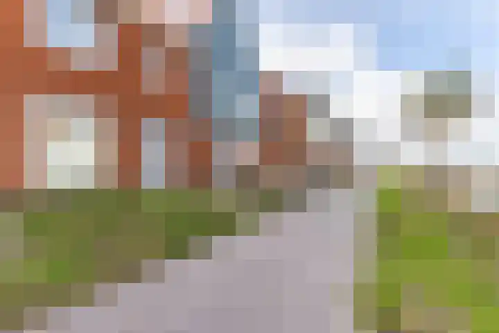Raaigras 92 Assendelft thumbnail 5