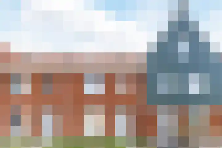 Raaigras 92 Assendelft thumbnail 6