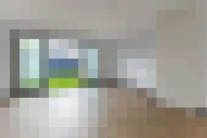 Raaigras 92 Assendelft thumbnail 9