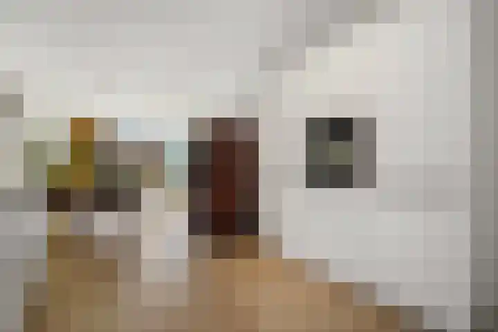 Raaigrasstraat 30 Rijswijk thumbnail 11