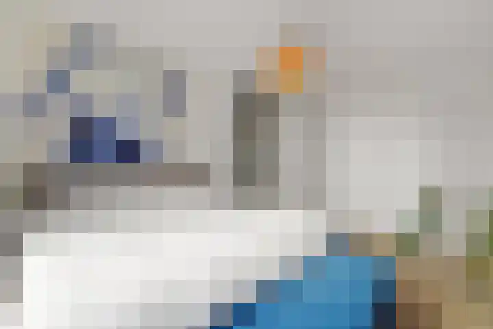 Raaigrasstraat 30 Rijswijk thumbnail 31