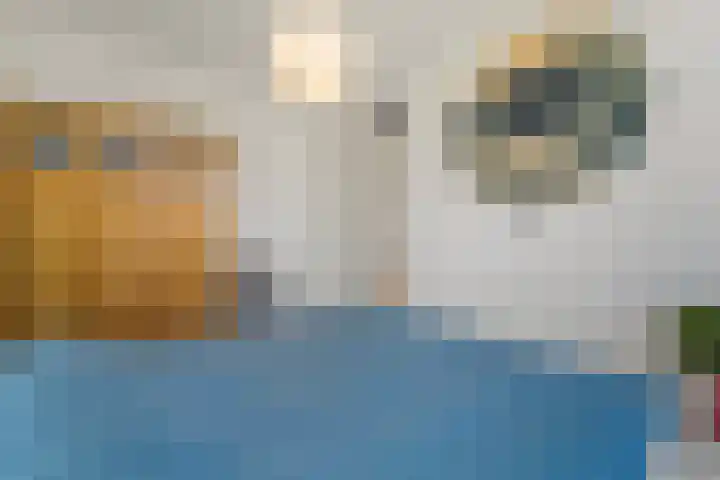 Raaigrasstraat 30 Rijswijk thumbnail 36