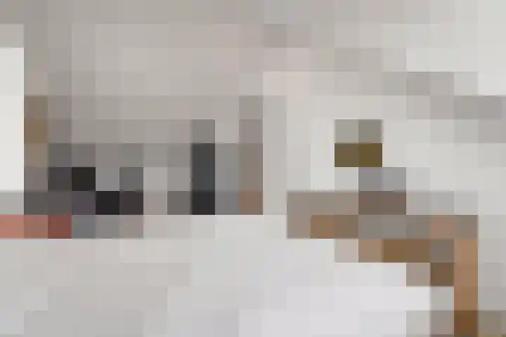 Raaigrasstraat 30 Rijswijk thumbnail 42