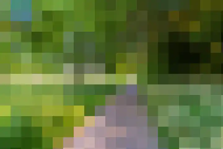 Raaigrasstraat 30 Rijswijk thumbnail 48