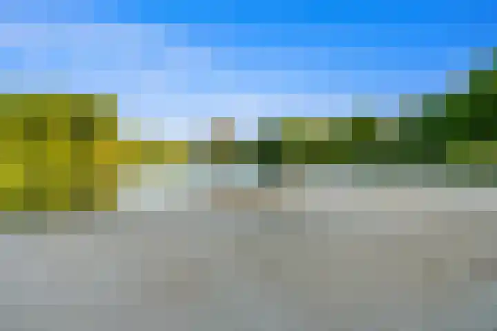 Raaigrasstraat 30 Rijswijk thumbnail 49