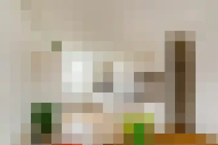 Raaigrasstraat 62 Rijswijk thumbnail 12
