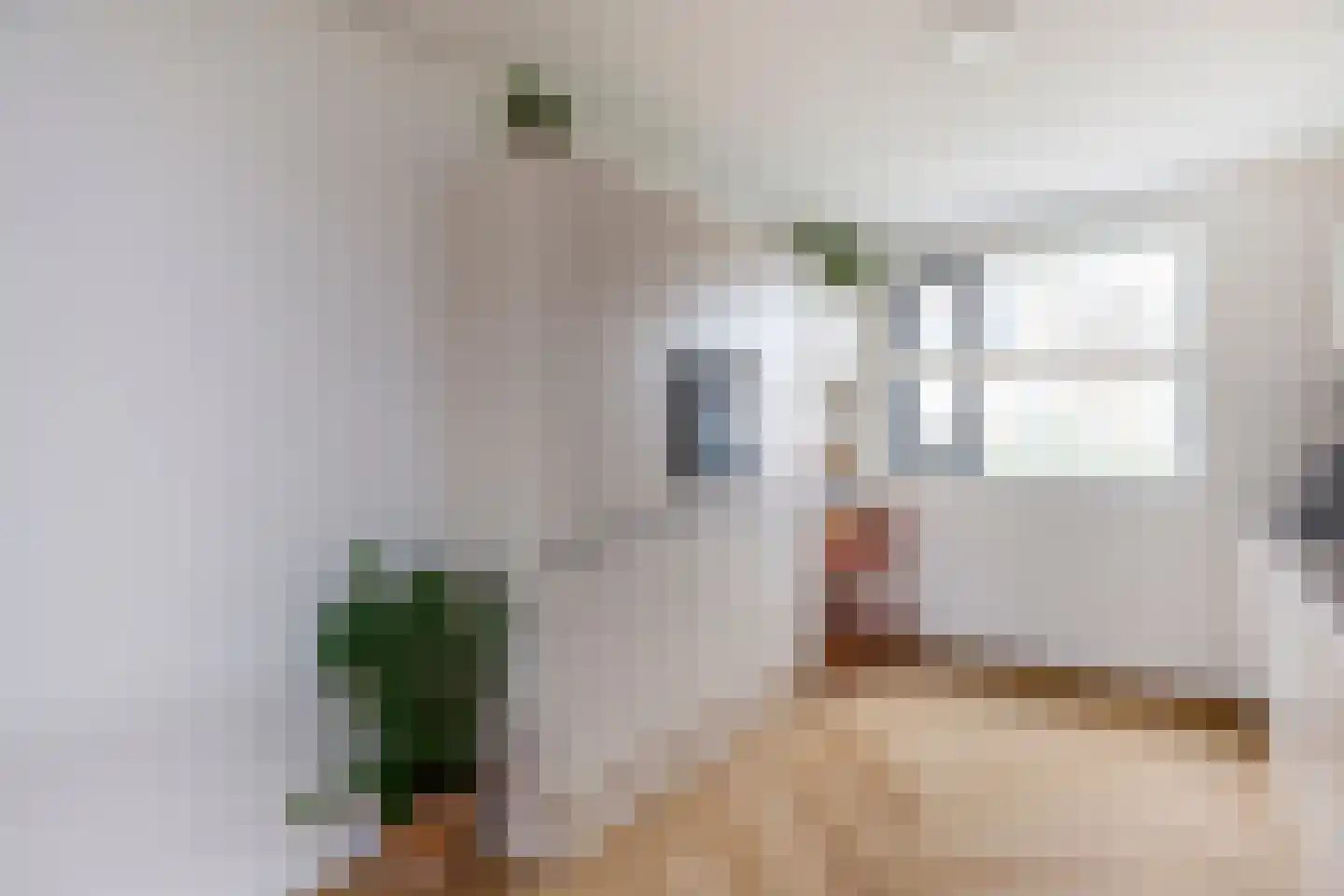Raaigrasstraat 62 Rijswijk thumbnail 15