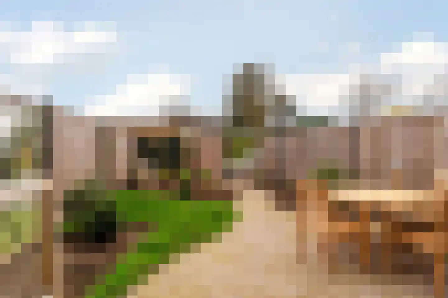 Raaigrasstraat 62 Rijswijk thumbnail 18