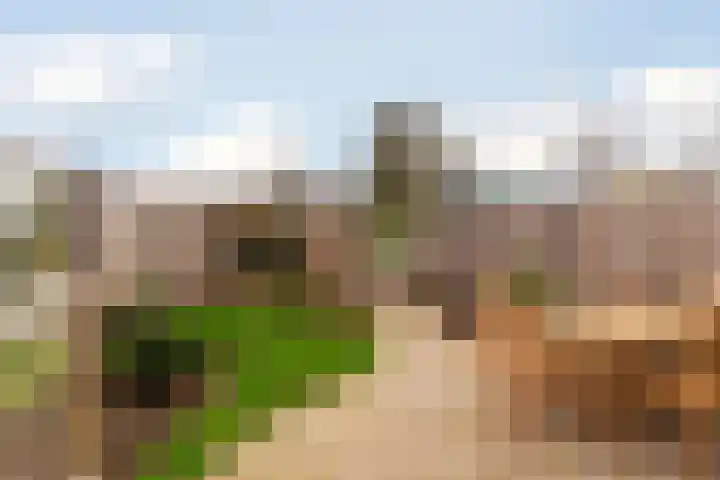 Raaigrasstraat 62 Rijswijk thumbnail 18