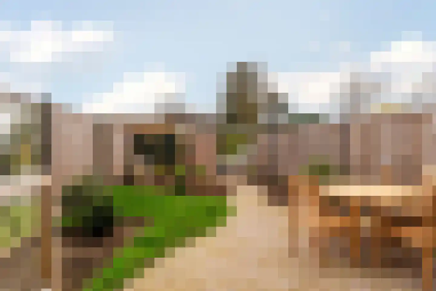 Raaigrasstraat 62 Rijswijk thumbnail 18