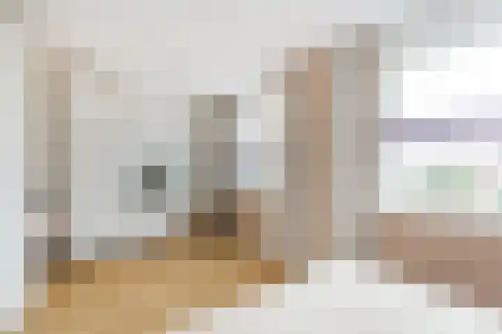Raaigrasstraat 62 Rijswijk thumbnail 22