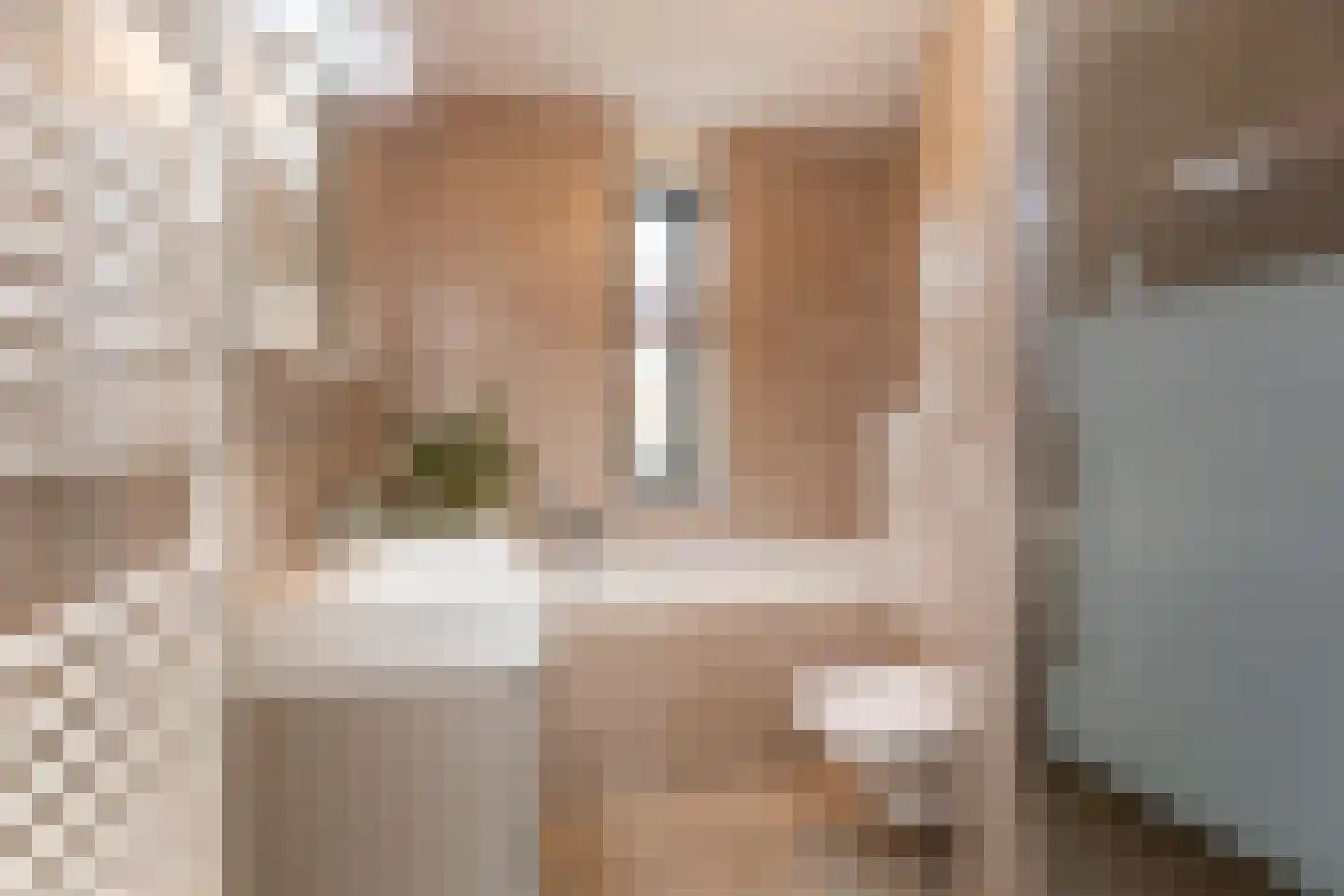 Raaigrasstraat 62 Rijswijk thumbnail 23