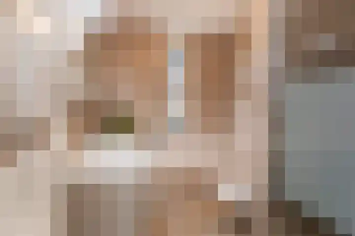 Raaigrasstraat 62 Rijswijk thumbnail 23