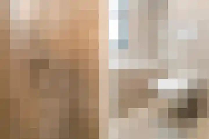 Raaigrasstraat 62 Rijswijk thumbnail 24