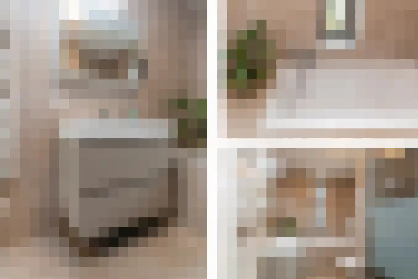 Raaigrasstraat 62 Rijswijk thumbnail 25