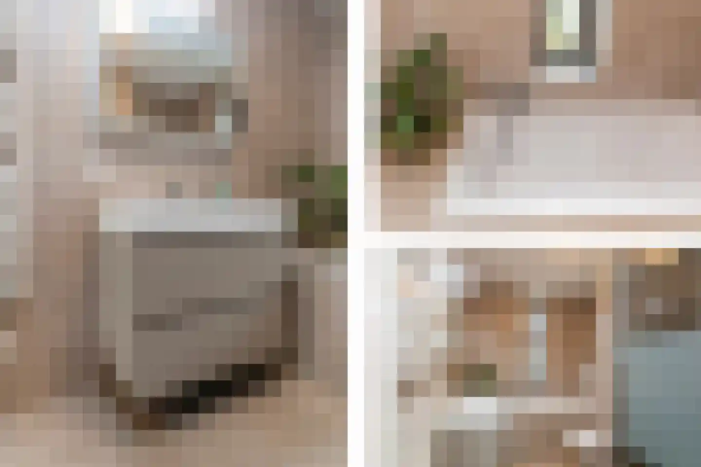 Raaigrasstraat 62 Rijswijk thumbnail 25