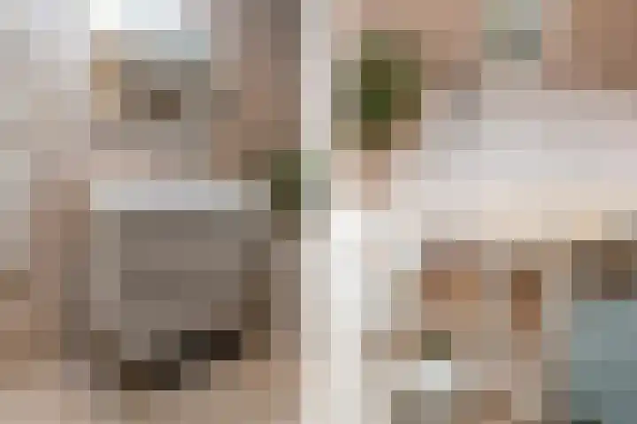 Raaigrasstraat 62 Rijswijk thumbnail 25