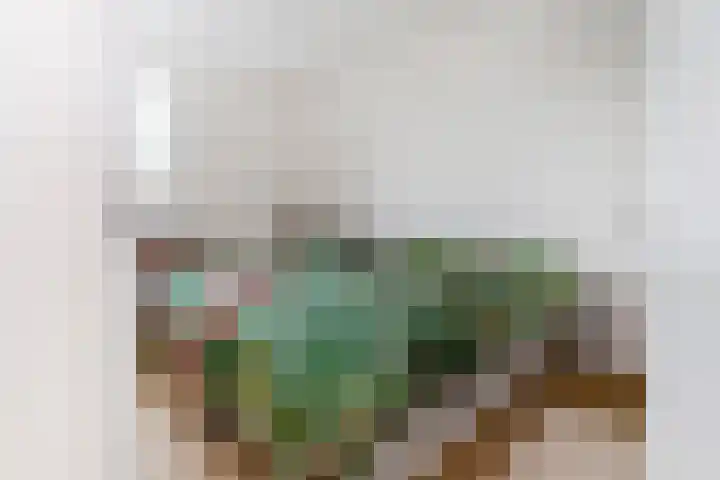 Raaigrasstraat 62 Rijswijk thumbnail 29