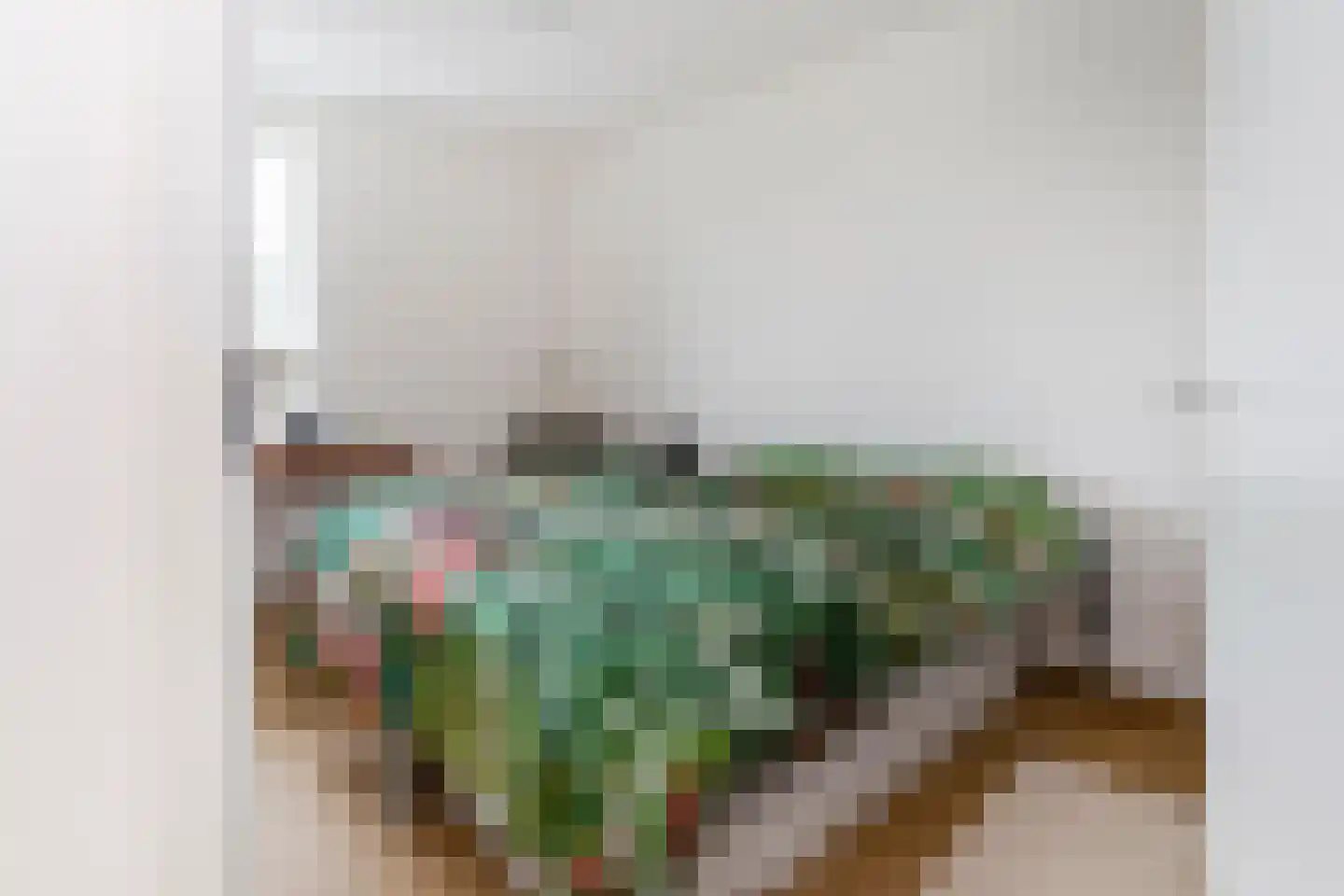 Raaigrasstraat 62 Rijswijk thumbnail 29