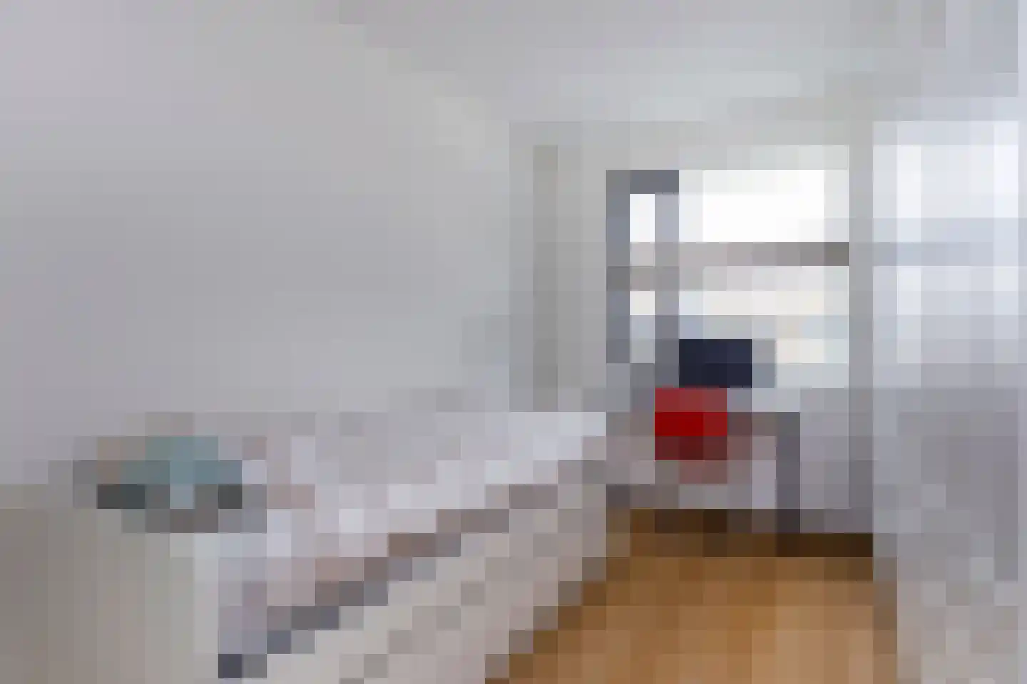 Raaigrasstraat 62 Rijswijk thumbnail 30