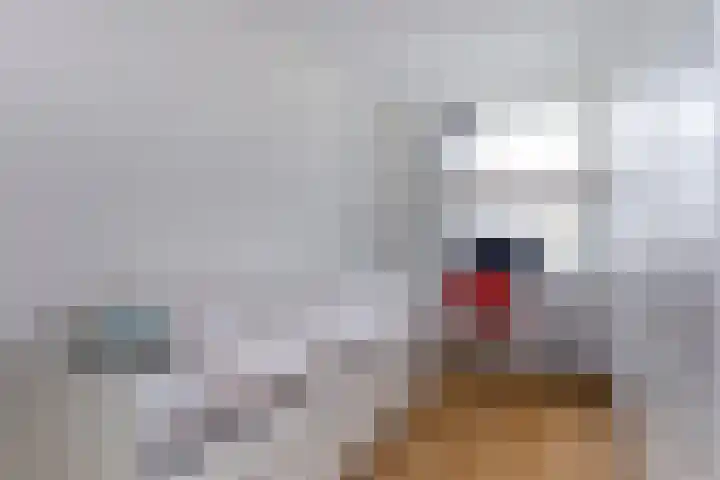Raaigrasstraat 62 Rijswijk thumbnail 30