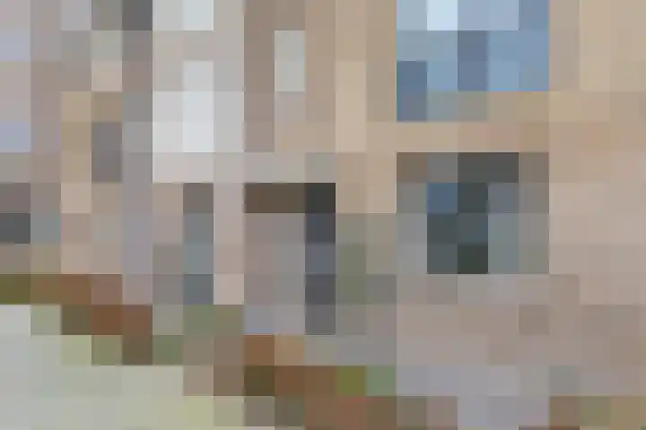 Raaigrasstraat 62 Rijswijk thumbnail 32