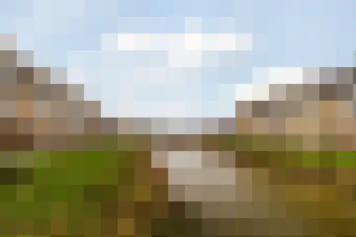 Raaigrasstraat 62 Rijswijk thumbnail 33