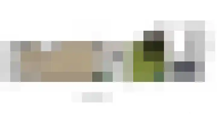 Raaigrasstraat 62 Rijswijk thumbnail 38